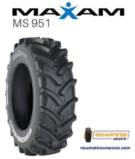 MAXAM MS95198